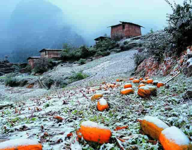 时尚潮流的科技新品