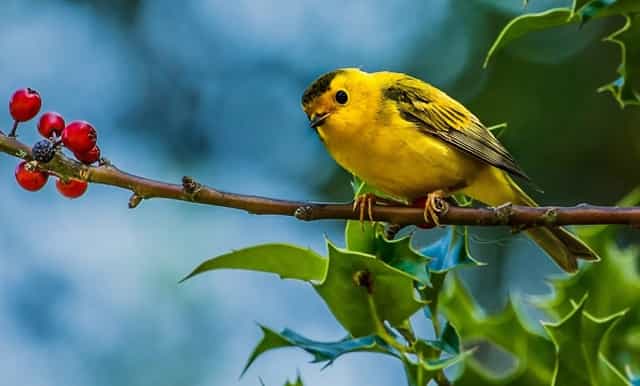 吉林大学2021年吉林省招生人数