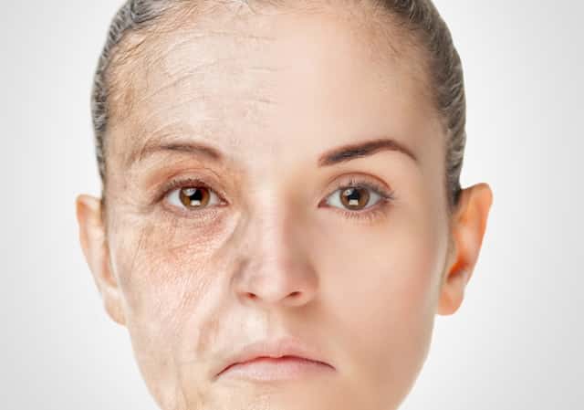 燕子开播了最新视频