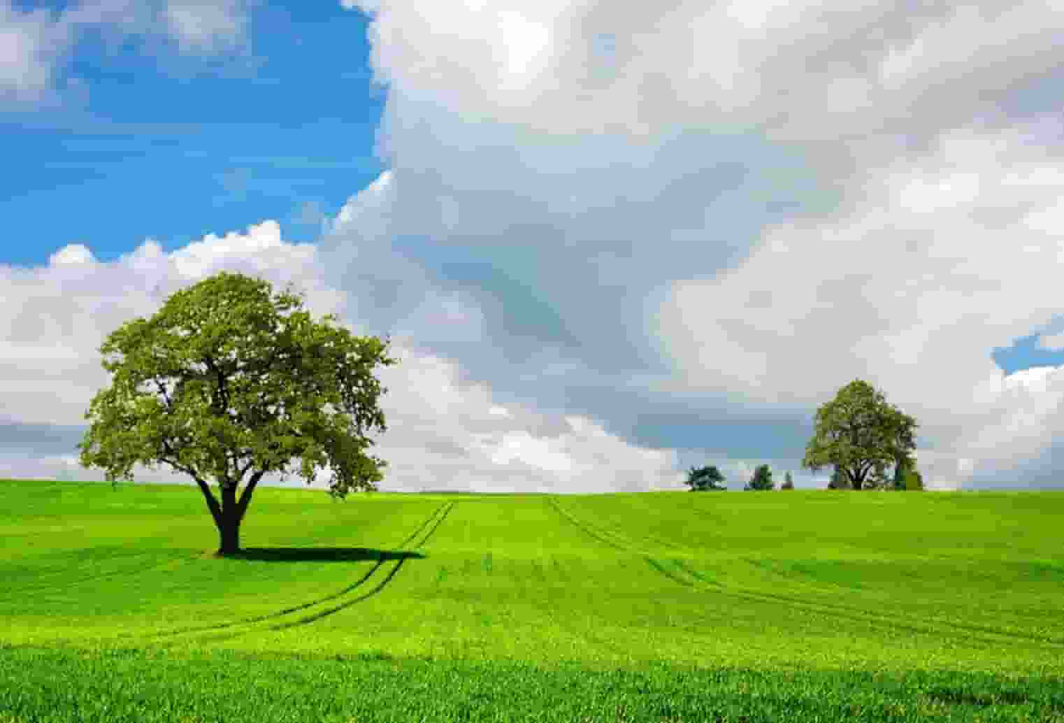 有关拜登的美国新闻