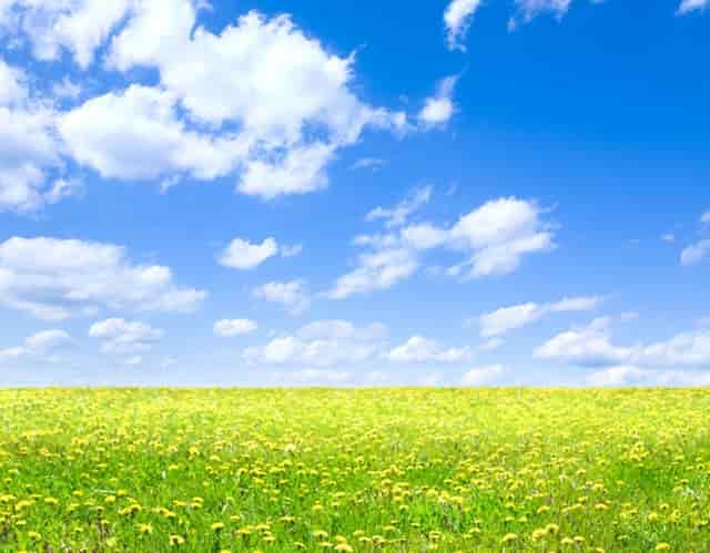 离谱！我竟然在和一只狗学穿衣服？