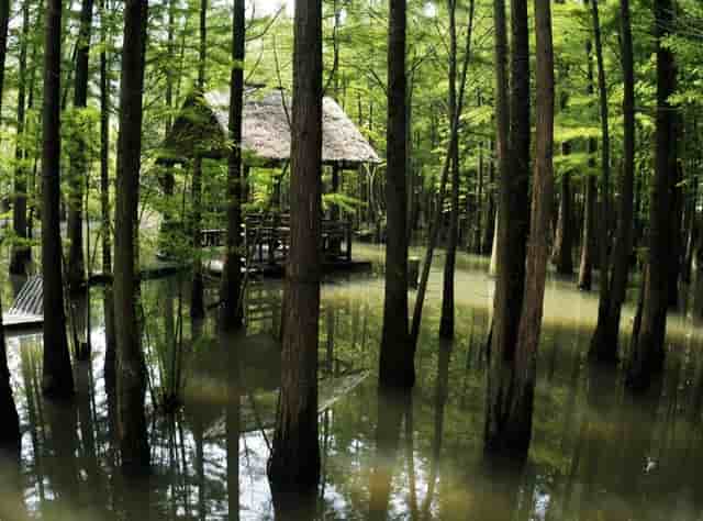 蓝牙耳机什么牌子的好用？知乎潜水200天整理五大热门耳机！