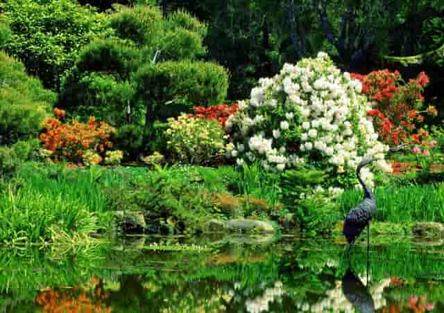 打疫苗是不是哪里打都可以