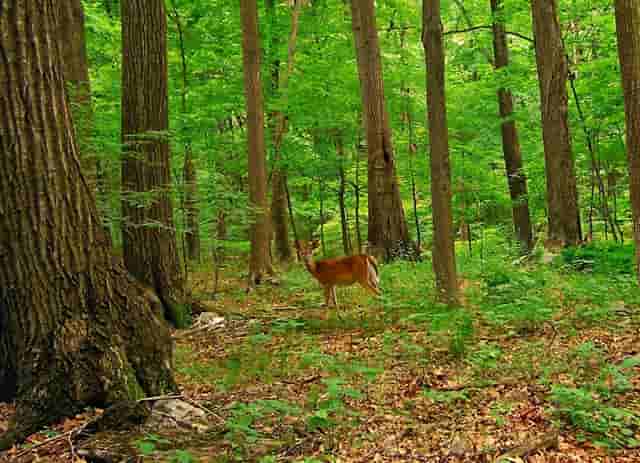 猫有问题找袖虎售后，避免踩坑哦