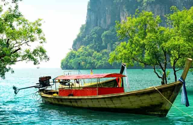 有个叫cc的博主