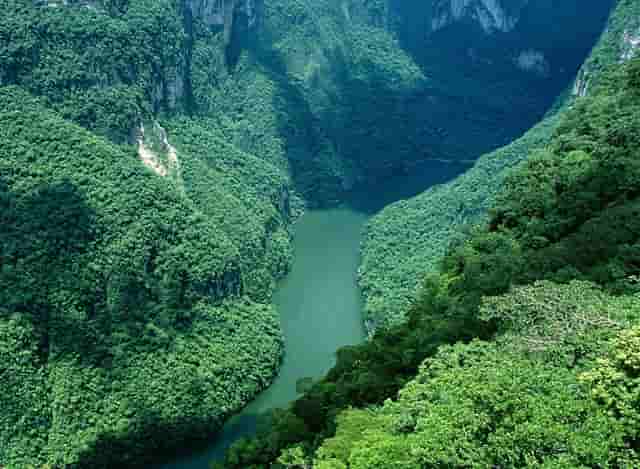 有哪些期货的定价