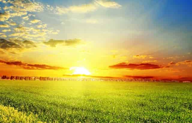 袖虎病猫攻略：泪痕重的就是病猫吗？