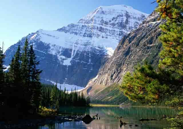 哪个银行存款有钱