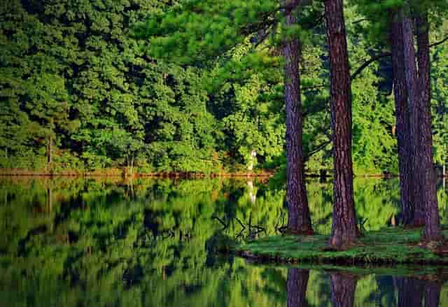 袖虎养猫疑问：它居然流红色的泪？！