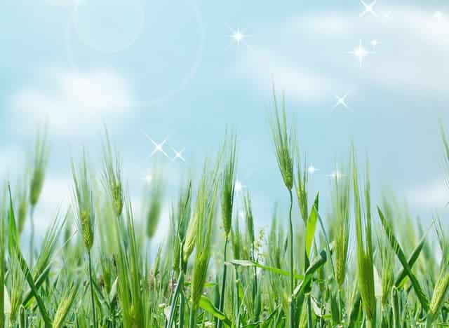 一般工资待遇如何