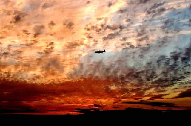 袖虎病狗攻略：鉴别病狗和健康狗的十二个方面，你知道几个？