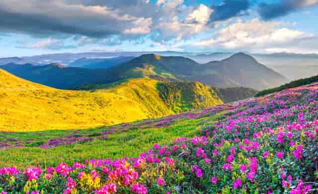 幼儿园的环境是孩子