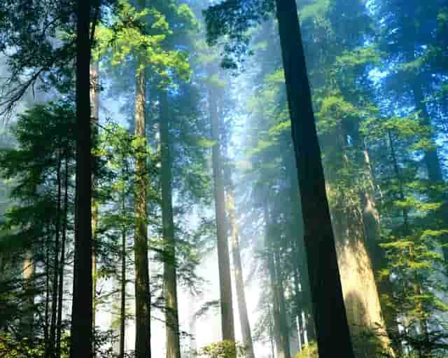 中国最新国画作品