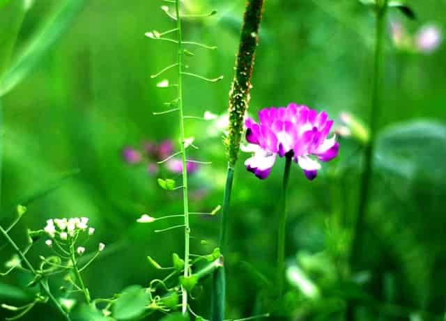 世界杯决赛中点球