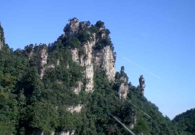 袖虎病猫攻略：猫咪指甲崩飞了怎么办