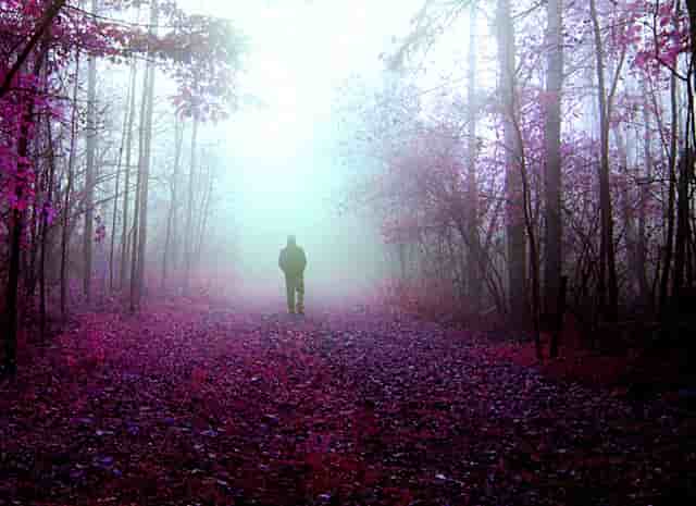 市场公平性何在“明目张胆直播”谁在随意切换天地板