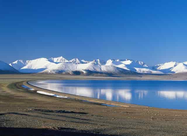 袖虎的问题，你做好收养流浪狗的准备了吗？