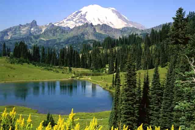 超级赛亚人来袭 华硕飞行堡垒8游戏本龙珠限定版开箱