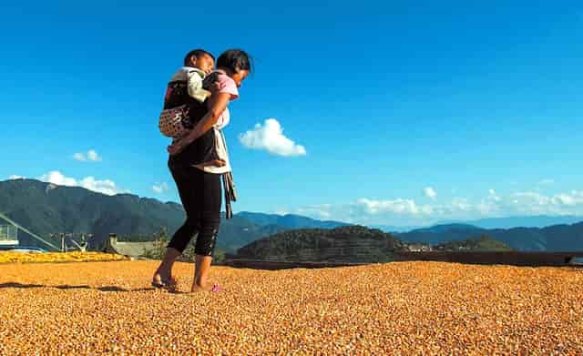 影响驾驶人安全驾驶