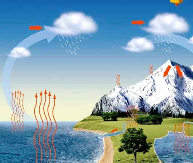 靶向药新星·拉罗替尼不限癌种（Larotrectinib，LOXO-101）