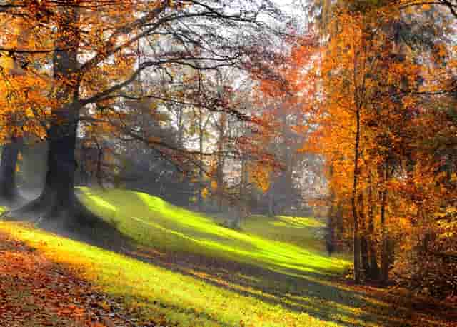 打疫苗第二针安排完了