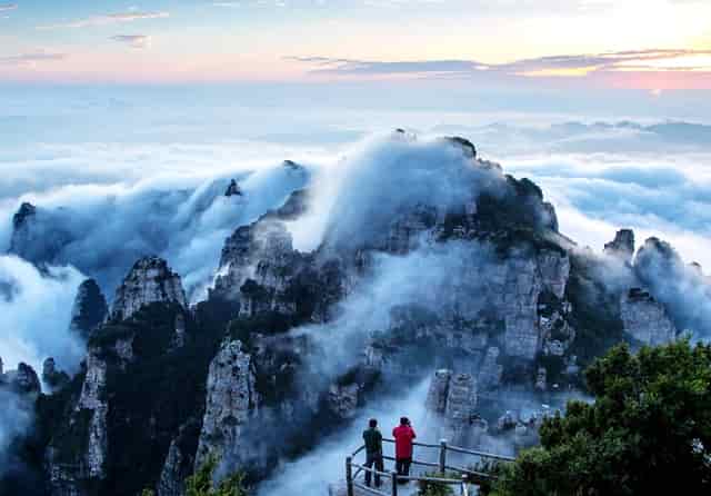 袖虎对常见的病猫治疗方案