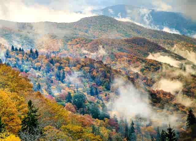 合肥到明光最迟几点