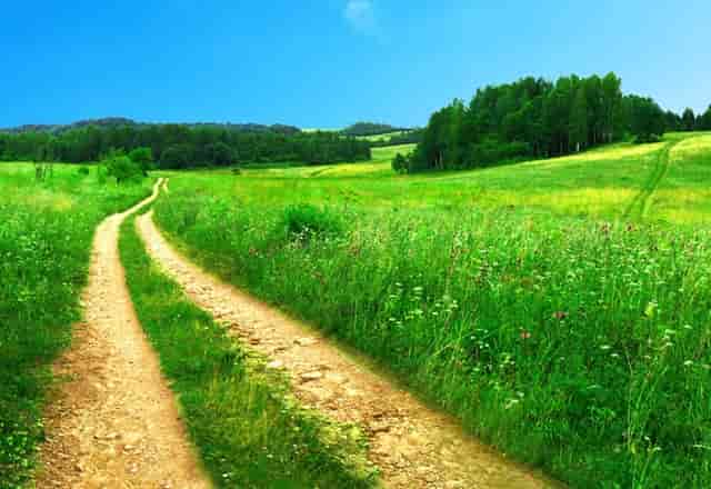 稀有“鸡蛋”钻石将在香港拍卖，重102克拉，请准备好2个亿