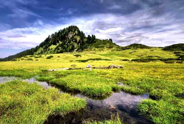 保姆纵火案李昌钰