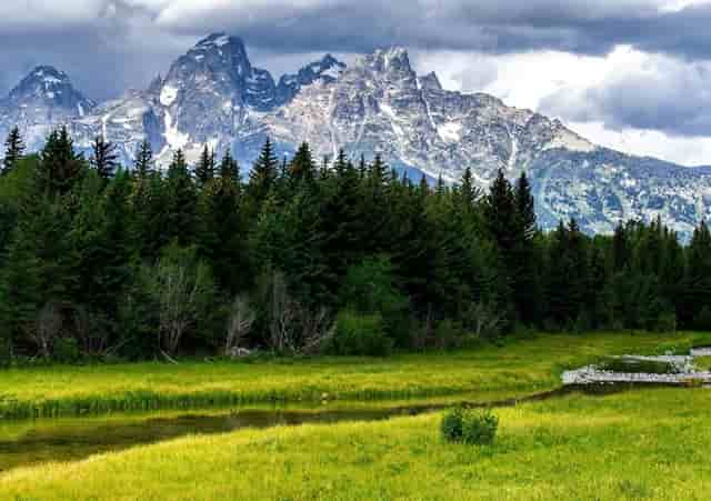 李小璐离婚后愈发不羁，为秀出自己的“巴掌腰”，穿50厘米短装就出镜