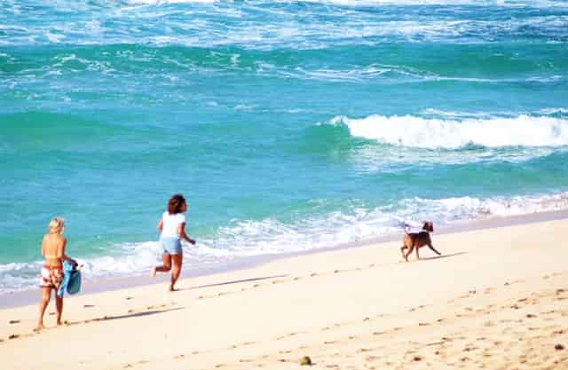 工作调度会和推进会(工作调度会什么意思)