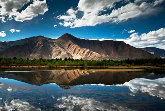 袖虎病猫攻略： 如何判断猫咪健不健康 宠物生活小百科