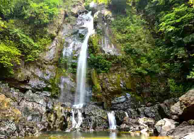 数藏圈的一匹黑马——火兔“FIRE BUNNY”