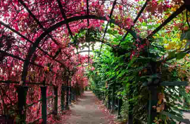 蔡嘉珍成功獲得註冊理財規劃師資格