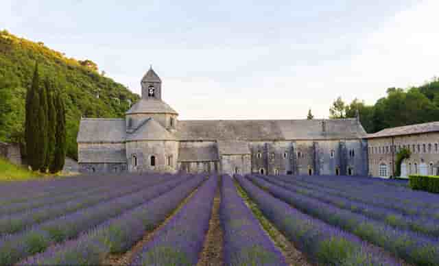 时尚的玩法和技巧