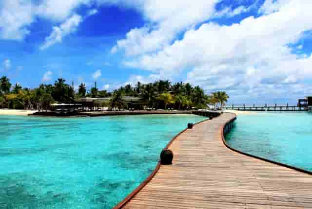 知乎携手京东、品牌商家，共创 11.11 家电家居消费指南