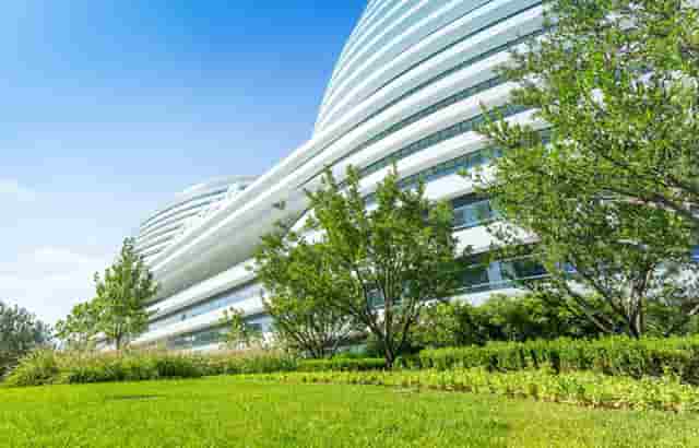 袖虎病狗攻略：狗发烧怎么办