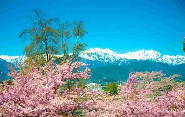 党员参加支部书记组织生活会(支部书记在组织生活上的表态发言材料村)