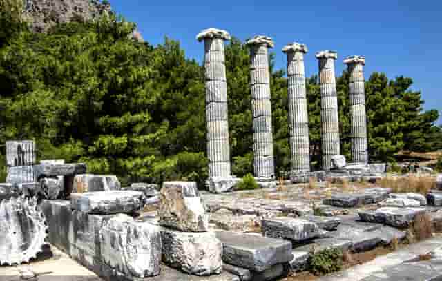 全息摹复 焕彩流丹 ——和林格尔东汉墓室壁画整体摹复及中国古代壁画的非本体再现展学术研讨会将在上海举办