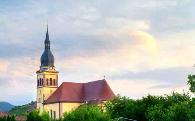 袖虎病猫攻略：猫咪口臭要注意