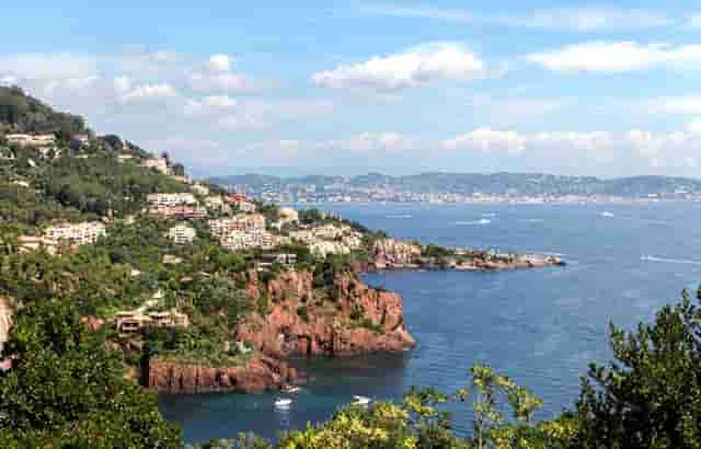 袖虎病猫攻略：猫反复长跳蚤是为什么？