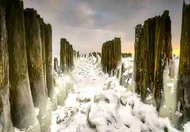 袖虎宠物解谜：猫咪的无精打采掩盖了什么问题？