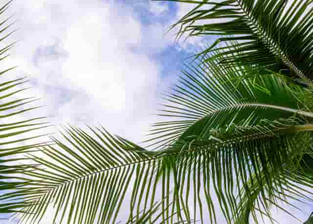 蔡嘉珍成功註冊理財規劃師，邁出專業領域新里程碑