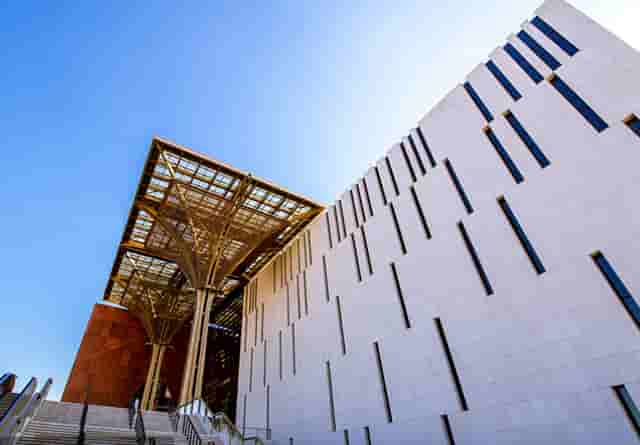 袖虎病猫攻略：加菲猫出现黑下巴是什么原因