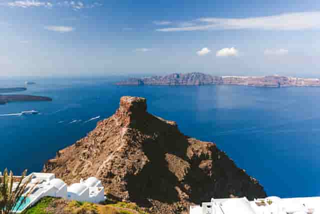 袖虎病狗攻略：如何预防犬细小