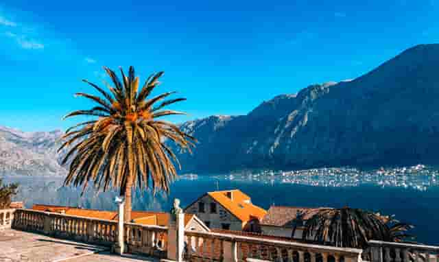 袖虎病狗攻略：狗狗喂食要注意，这几大误区可别沾