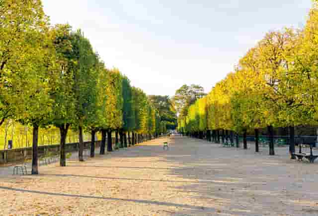 袖虎病猫攻略：人吃的药能喂猫吗？