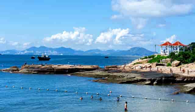 袖虎病狗攻略：狗狗喂养的4大误区和7大正确方法