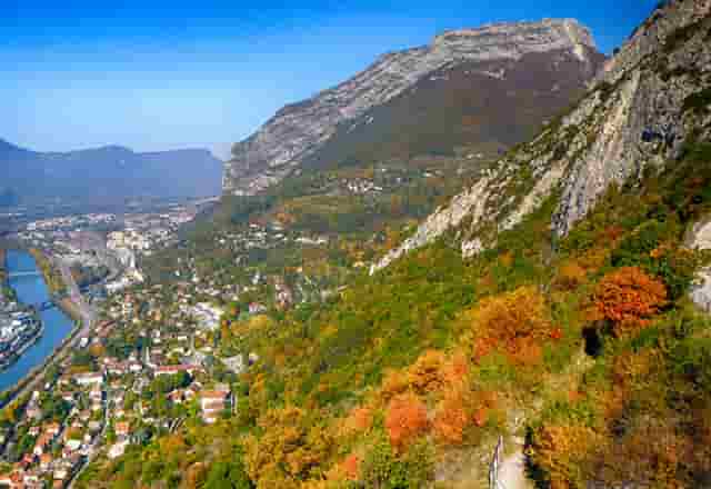 袖虎病猫攻略：关于猫咪眼泪这事你可能不知道