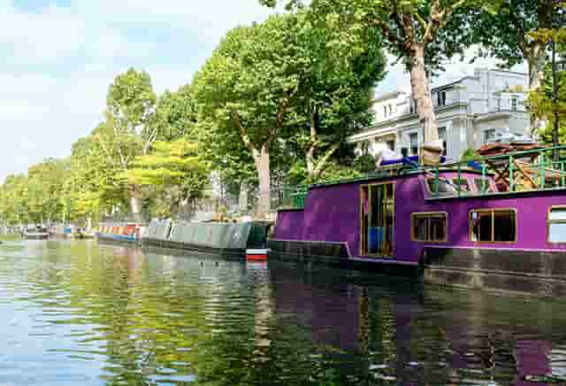 袖虎病猫攻略：猫咪突然不吃东西，很可能是这个原因